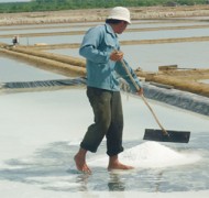 Sản xuất muối trải màng chống thấm mang lại hiệu quả bất ngờ cho diêm dân